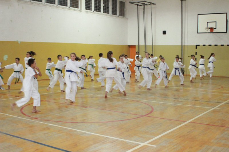 Karate klub Bugojno (101)